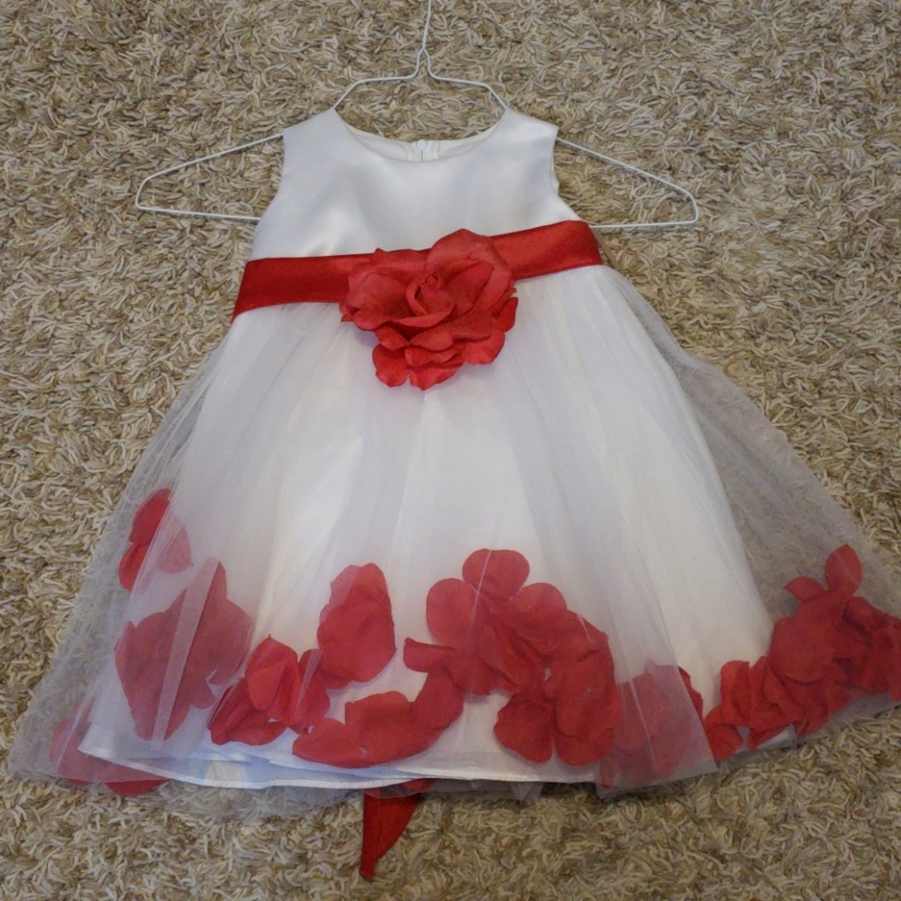 Christmas/ flower girl dress